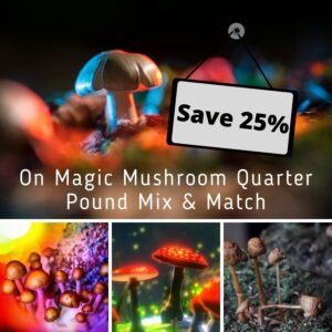 Magic Mushroom Quarter Pound Mix & Match