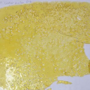 Watermelon OG Shatter